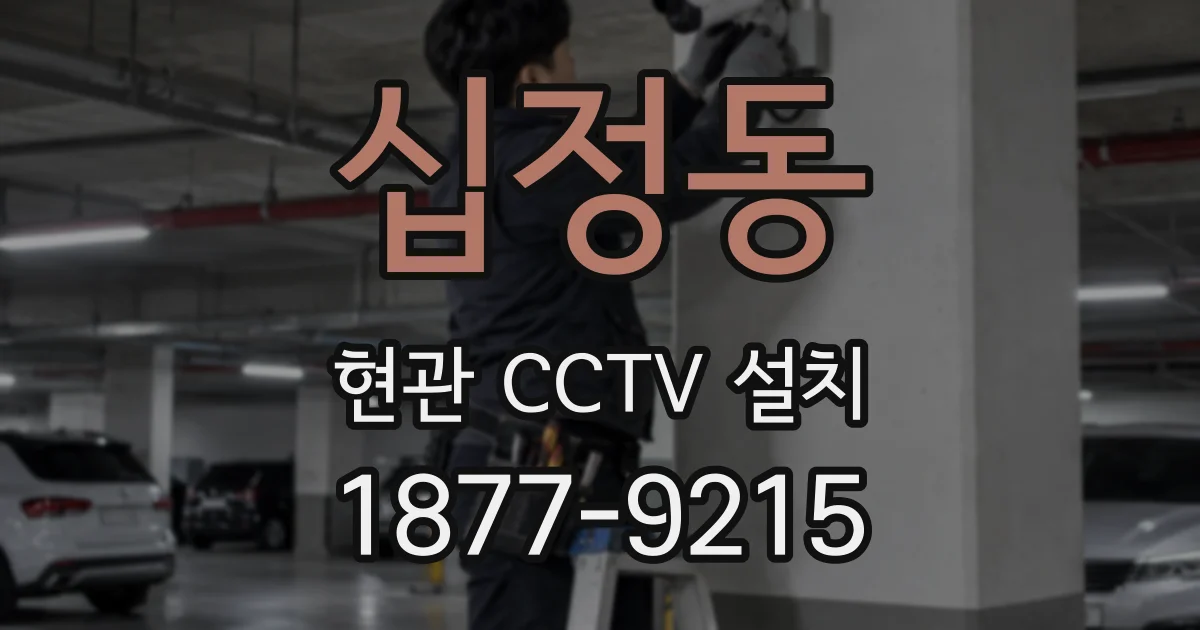 십정동 현관 CCTV 설치
