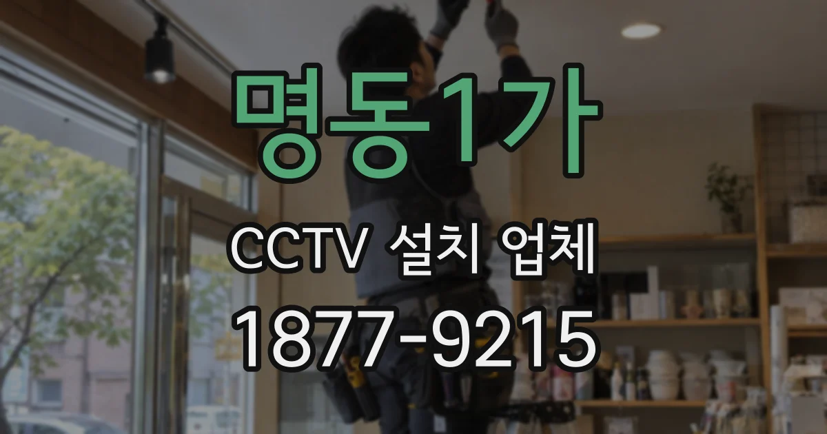 명동1가 CCTV 설치 업체