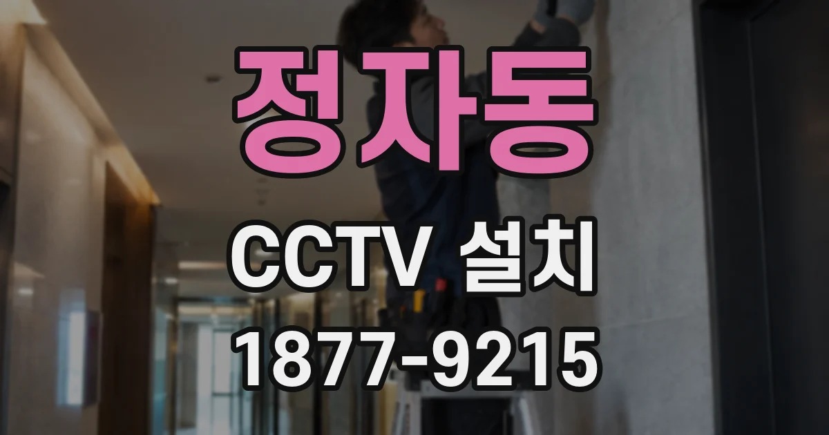 정자동 CCTV 설치