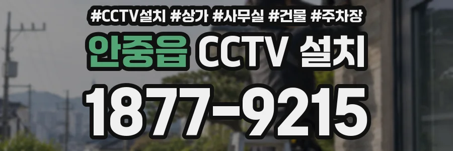 안중읍 CCTV 설치