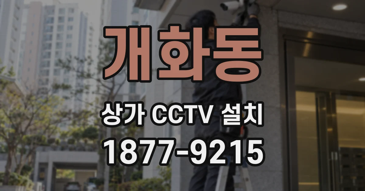 개화동 상가 CCTV 설치