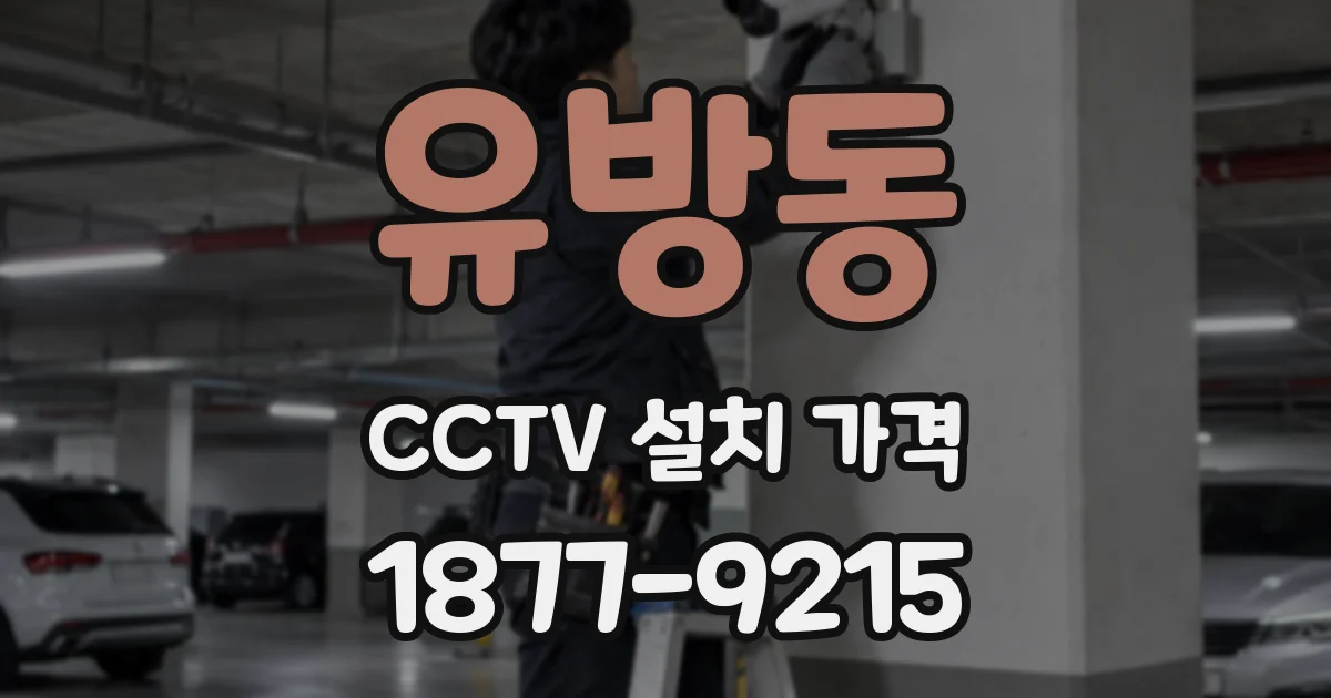 유방동 CCTV 설치 가격