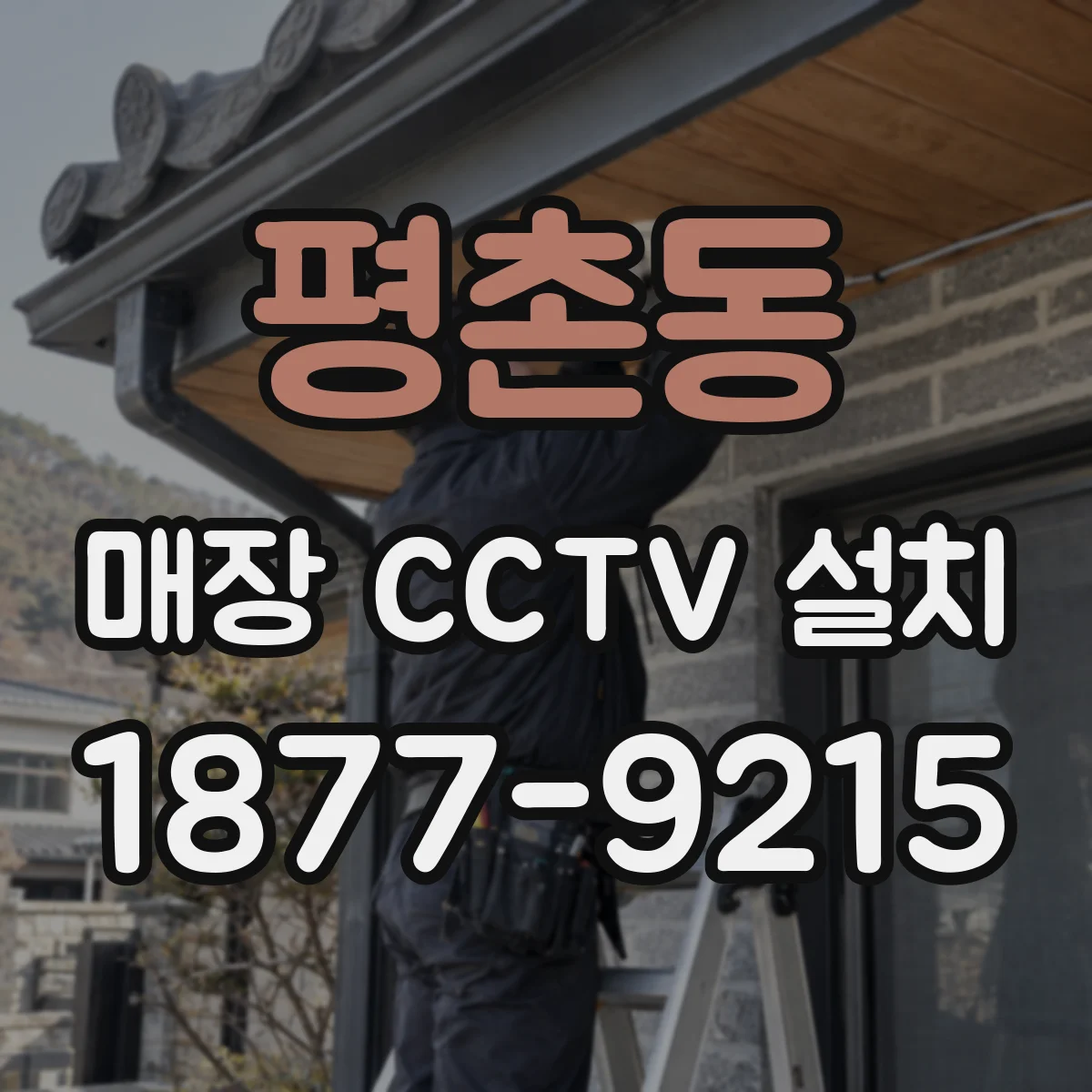 평촌동 매장 CCTV 설치