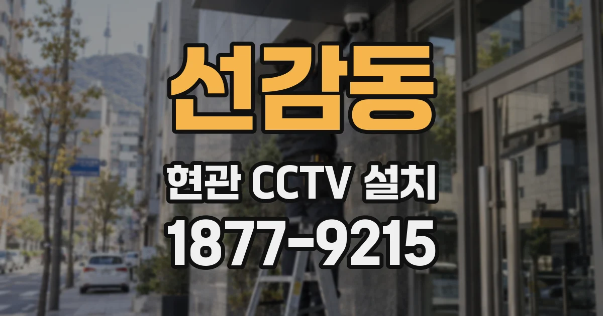 선감동 현관 CCTV 설치