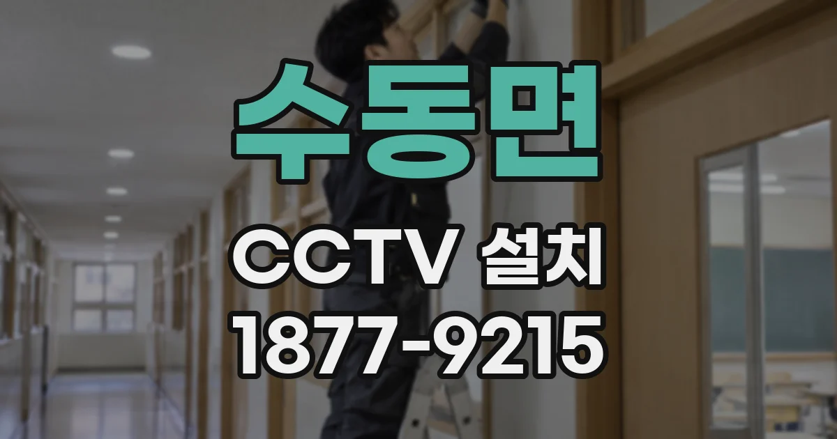 수동면 CCTV 설치