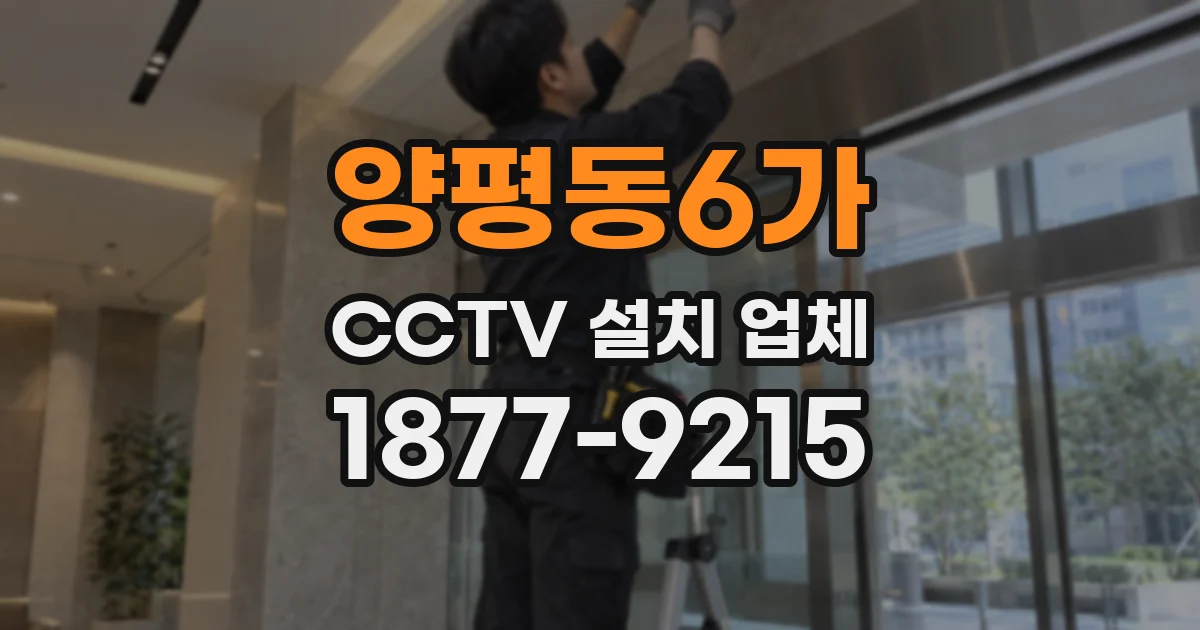 양평동6가 CCTV 설치 업체