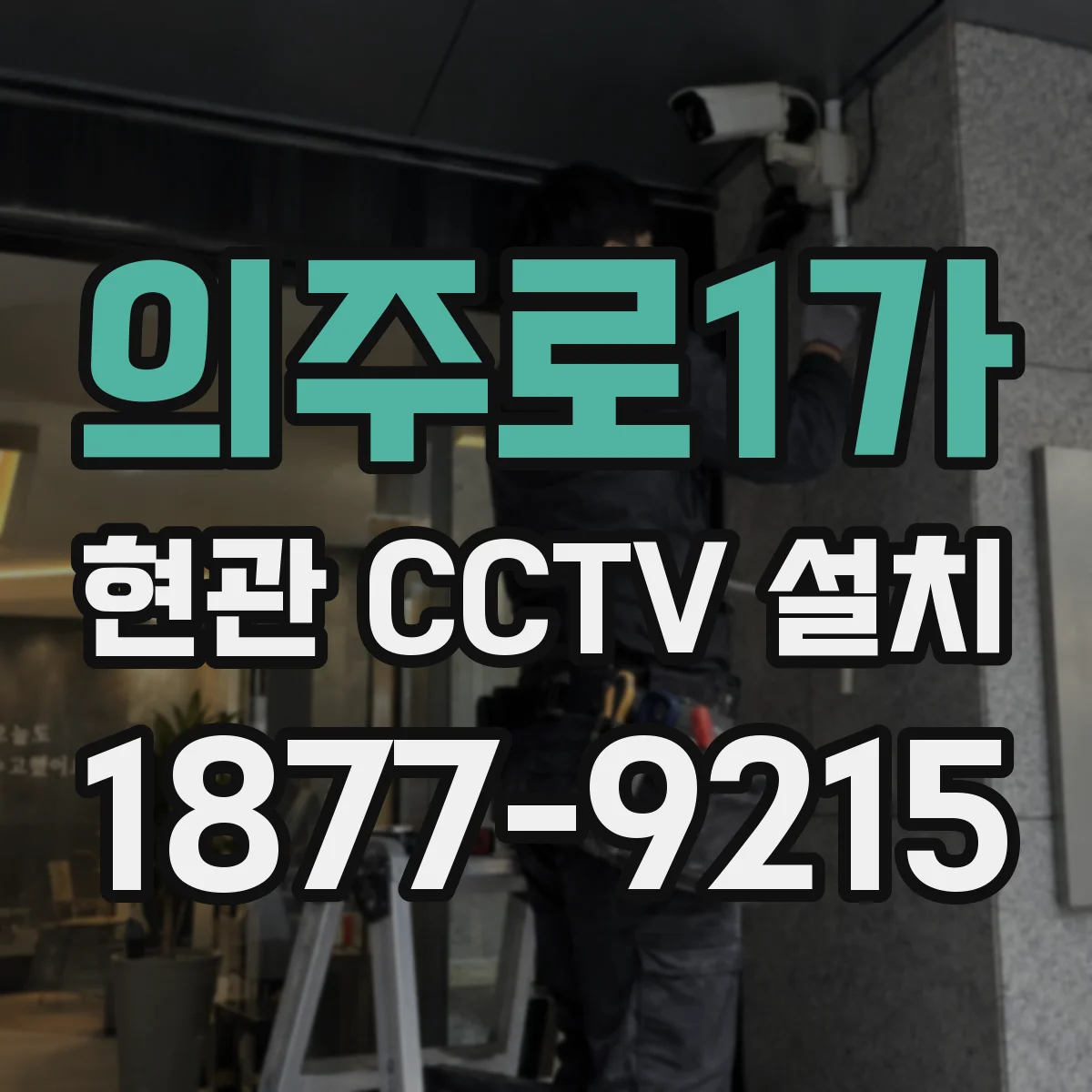 의주로1가 현관 CCTV 설치