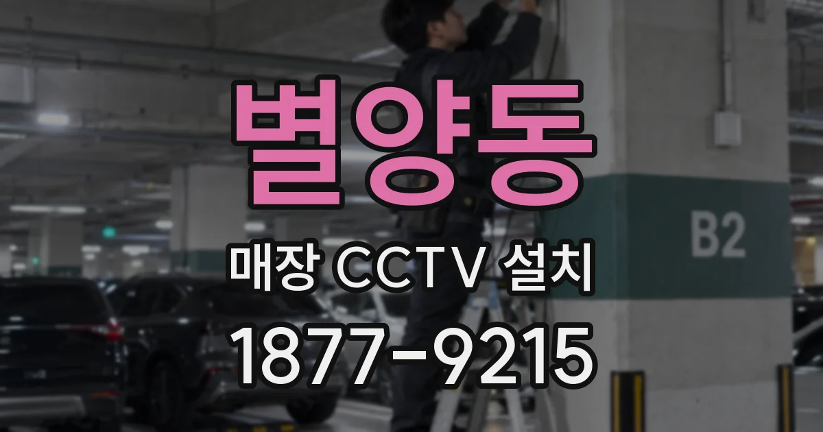 별양동 매장 CCTV 설치