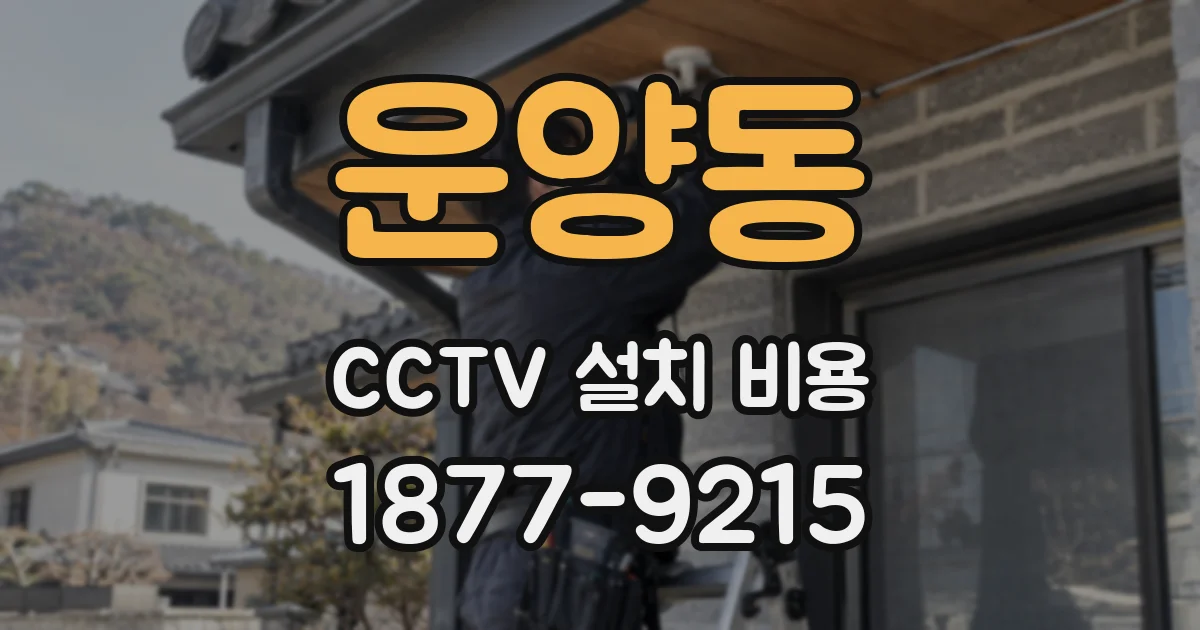 운양동 CCTV 설치 비용