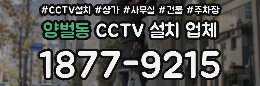 양벌동 CCTV 설치 업체