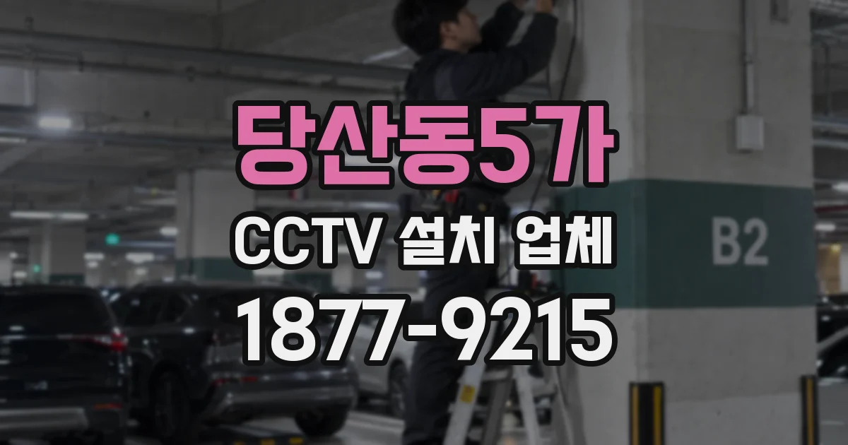 당산동5가 CCTV 설치 업체