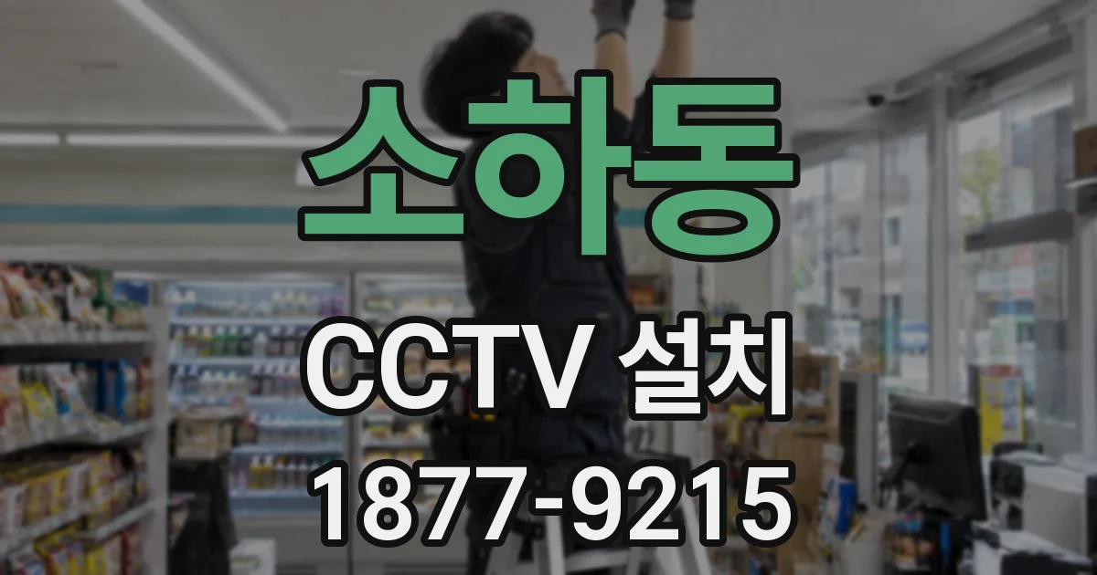 소하동 CCTV 설치