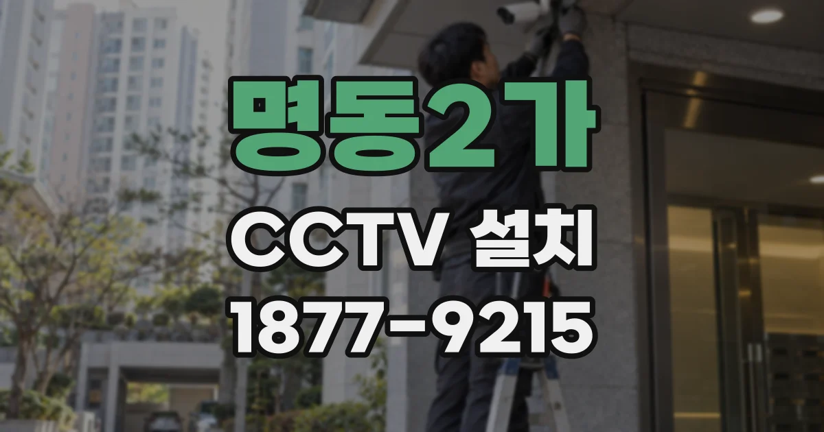 명동2가 CCTV 설치