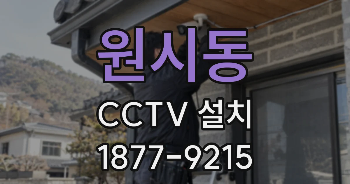원시동 CCTV 설치