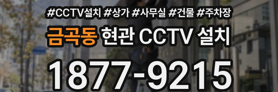 금곡동 현관 CCTV 설치