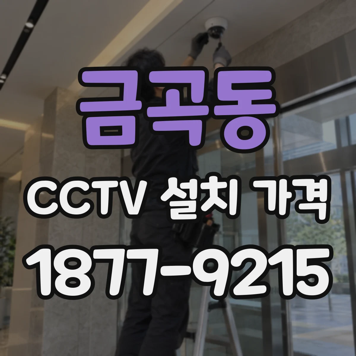 금곡동 CCTV 설치 가격