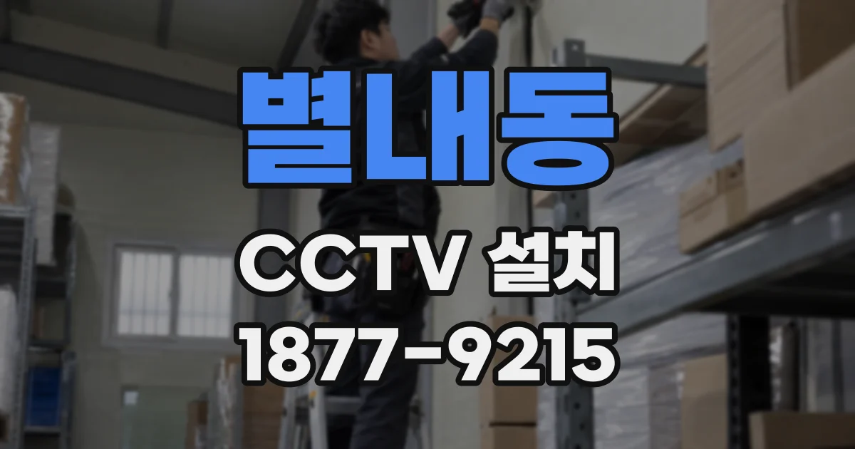 별내동 CCTV 설치