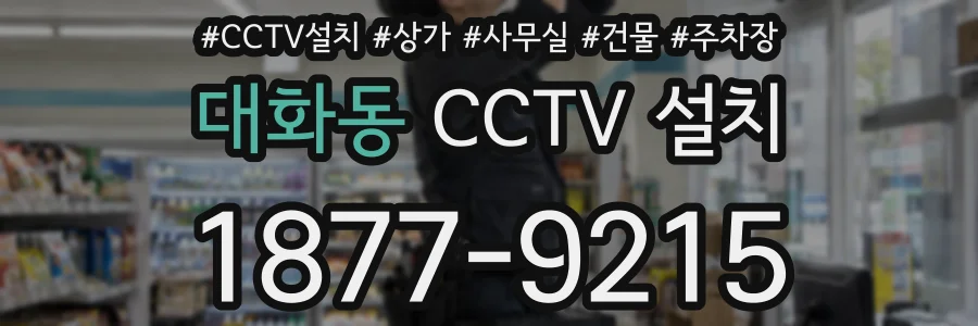 대화동 CCTV 설치