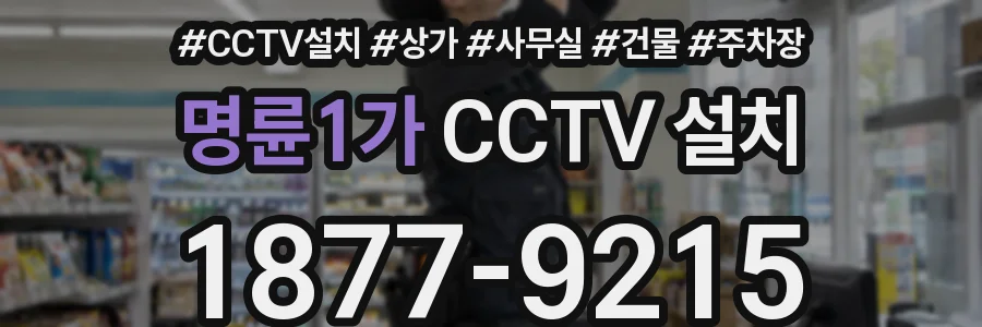 명륜1가 CCTV 설치