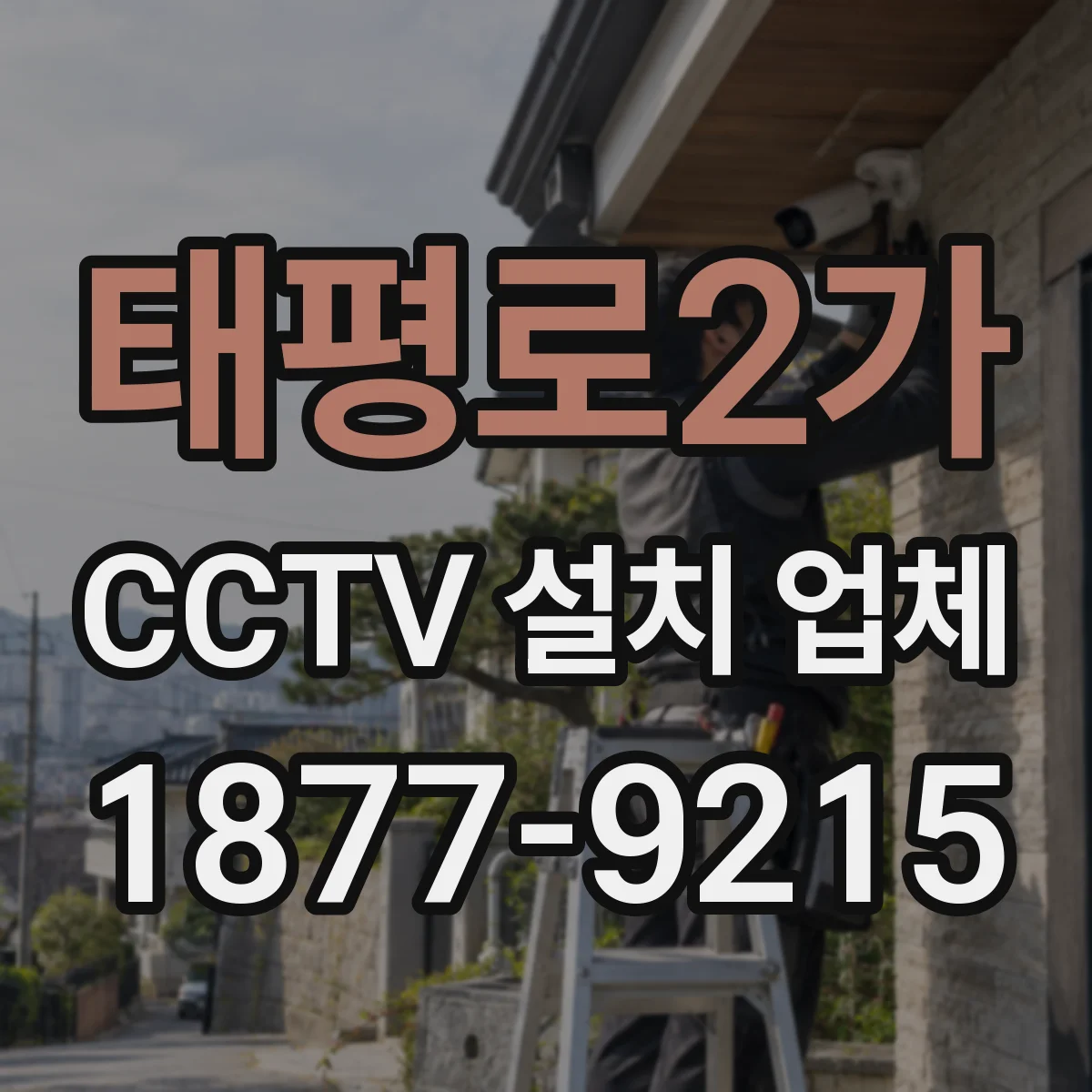 태평로2가 CCTV 설치 업체