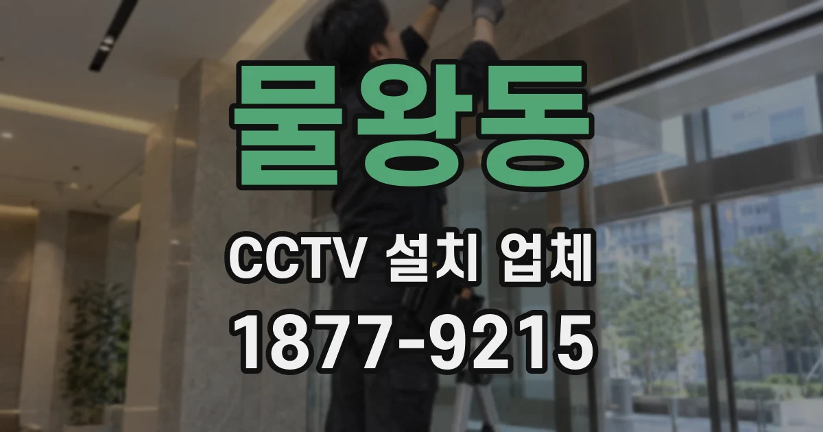 물왕동 CCTV 설치 업체