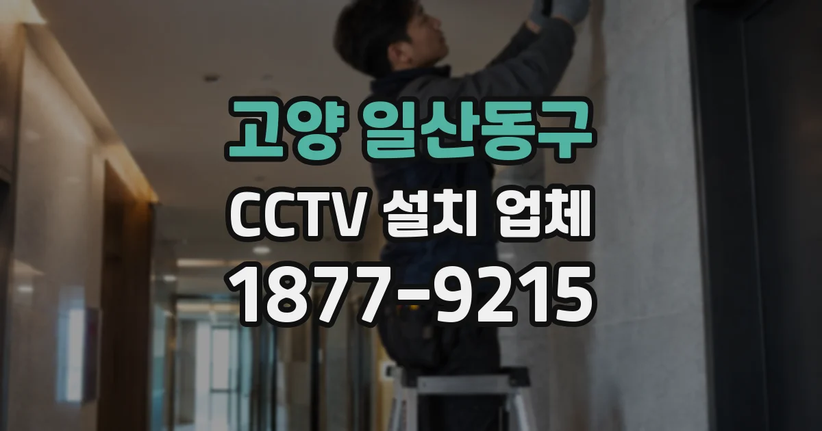고양 일산동구 CCTV 설치 업체