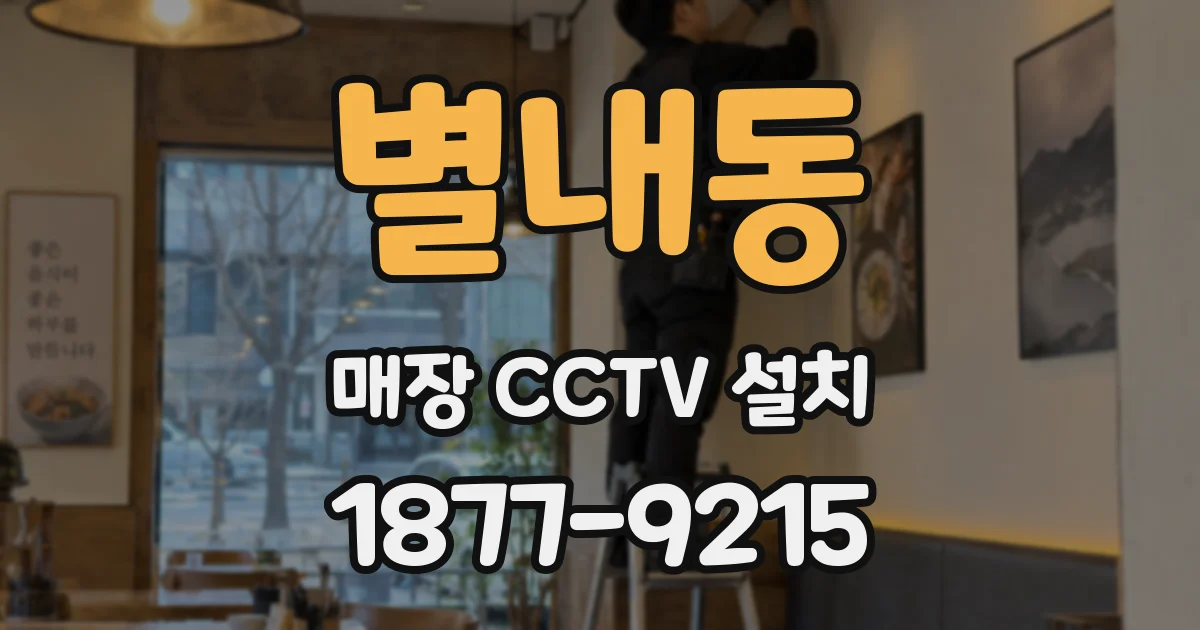 별내동 매장 CCTV 설치