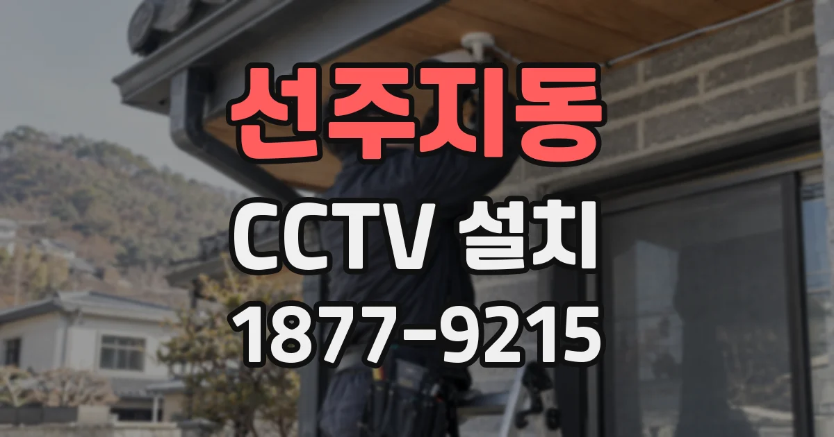 선주지동 CCTV 설치