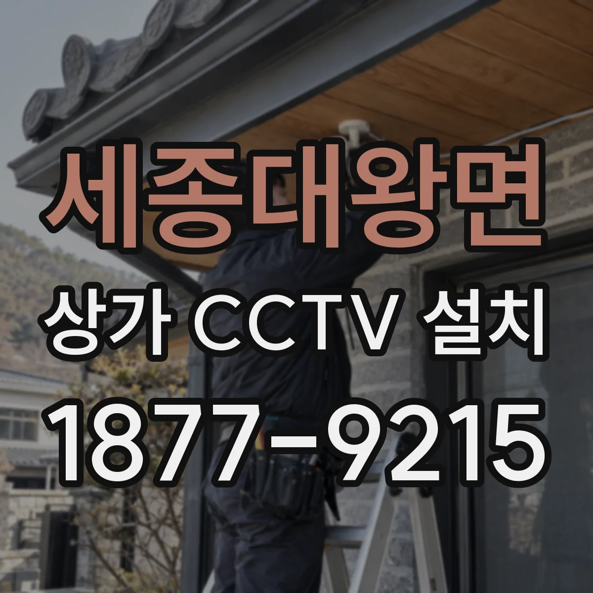 세종대왕면 상가 CCTV 설치