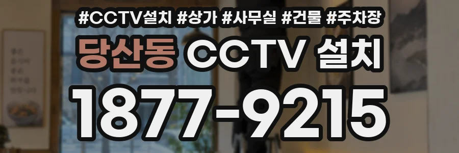 당산동 CCTV 설치