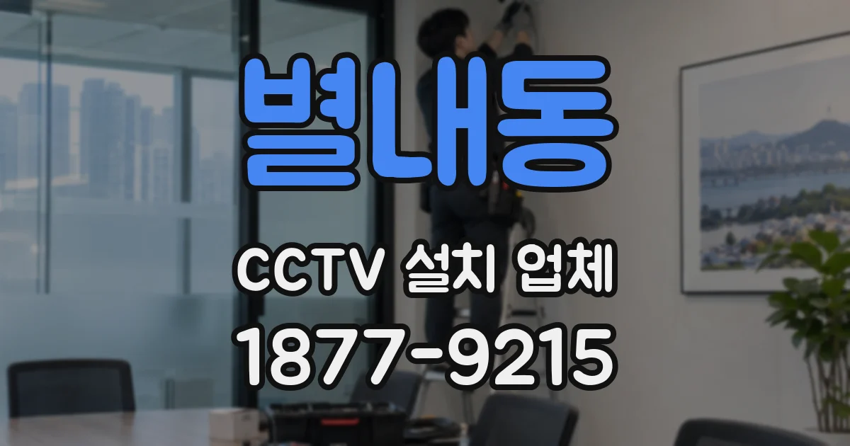 별내동 CCTV 설치 업체