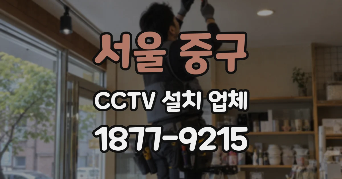 서울 중구 CCTV 설치 업체