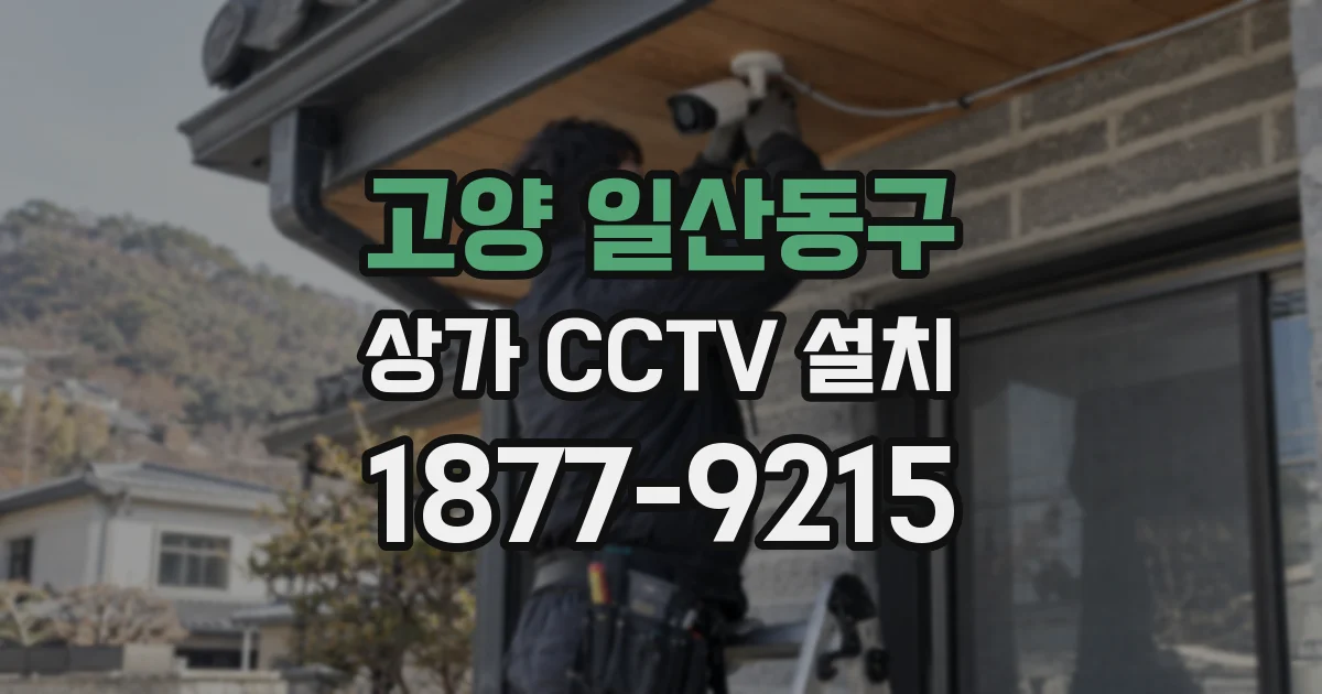 고양 일산동구 상가 CCTV 설치