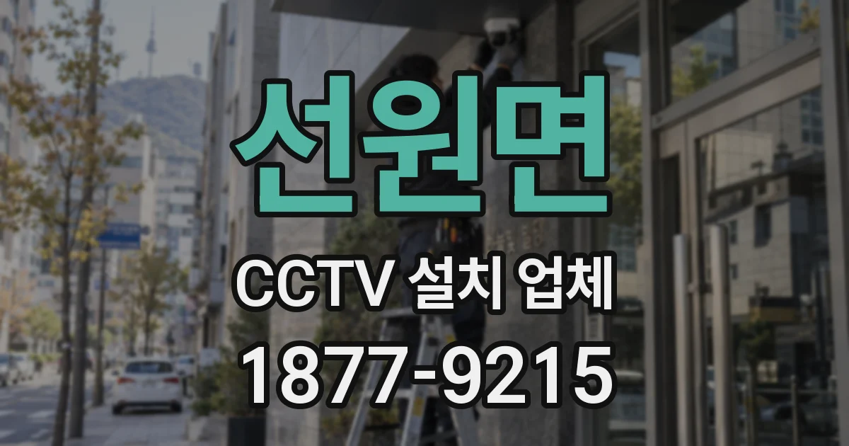 선원면 CCTV 설치 업체
