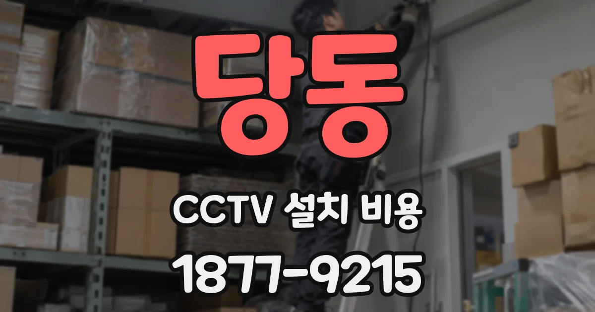 당동 CCTV 설치 비용