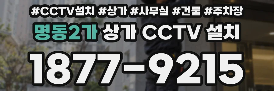 명동2가 상가 CCTV 설치