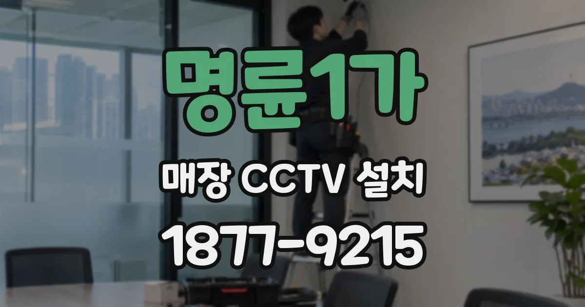 명륜1가 매장 CCTV 설치