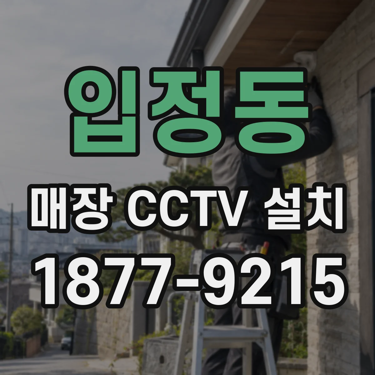 입정동 매장 CCTV 설치