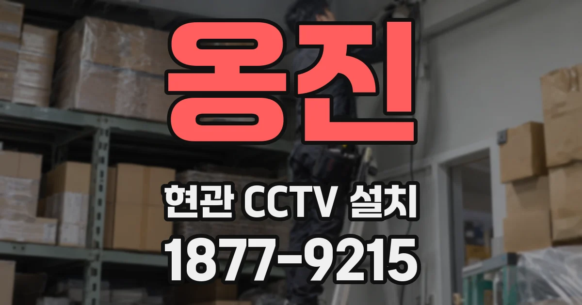 옹진 현관 CCTV 설치