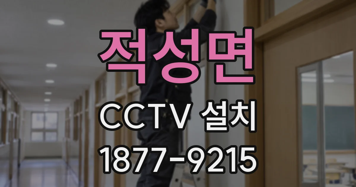 적성면 CCTV 설치