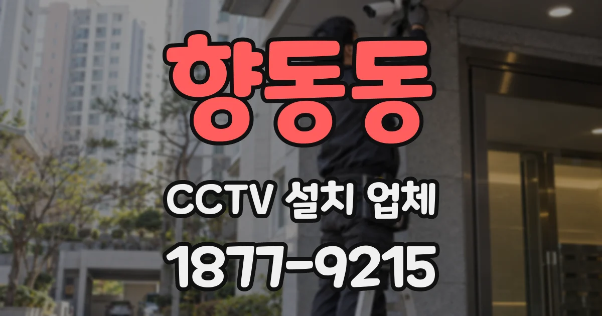 향동동 CCTV 설치 업체