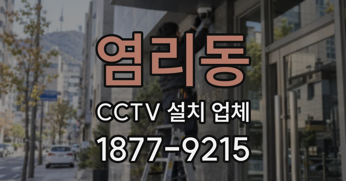 염리동 CCTV 설치 업체