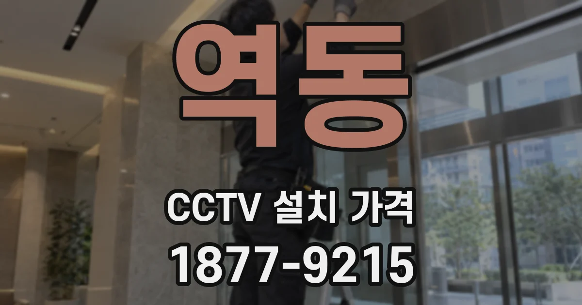 역동 CCTV 설치 가격