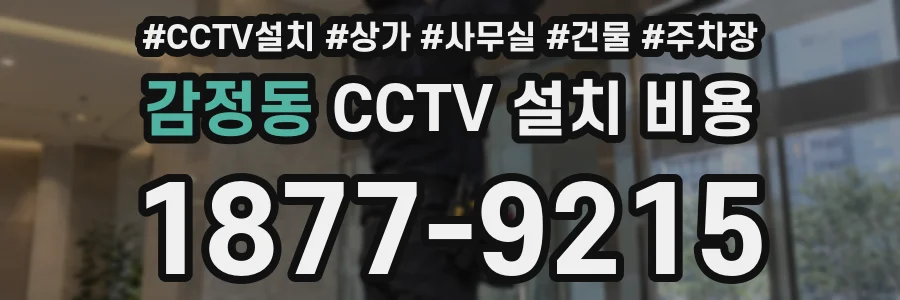 감정동 CCTV 설치 비용