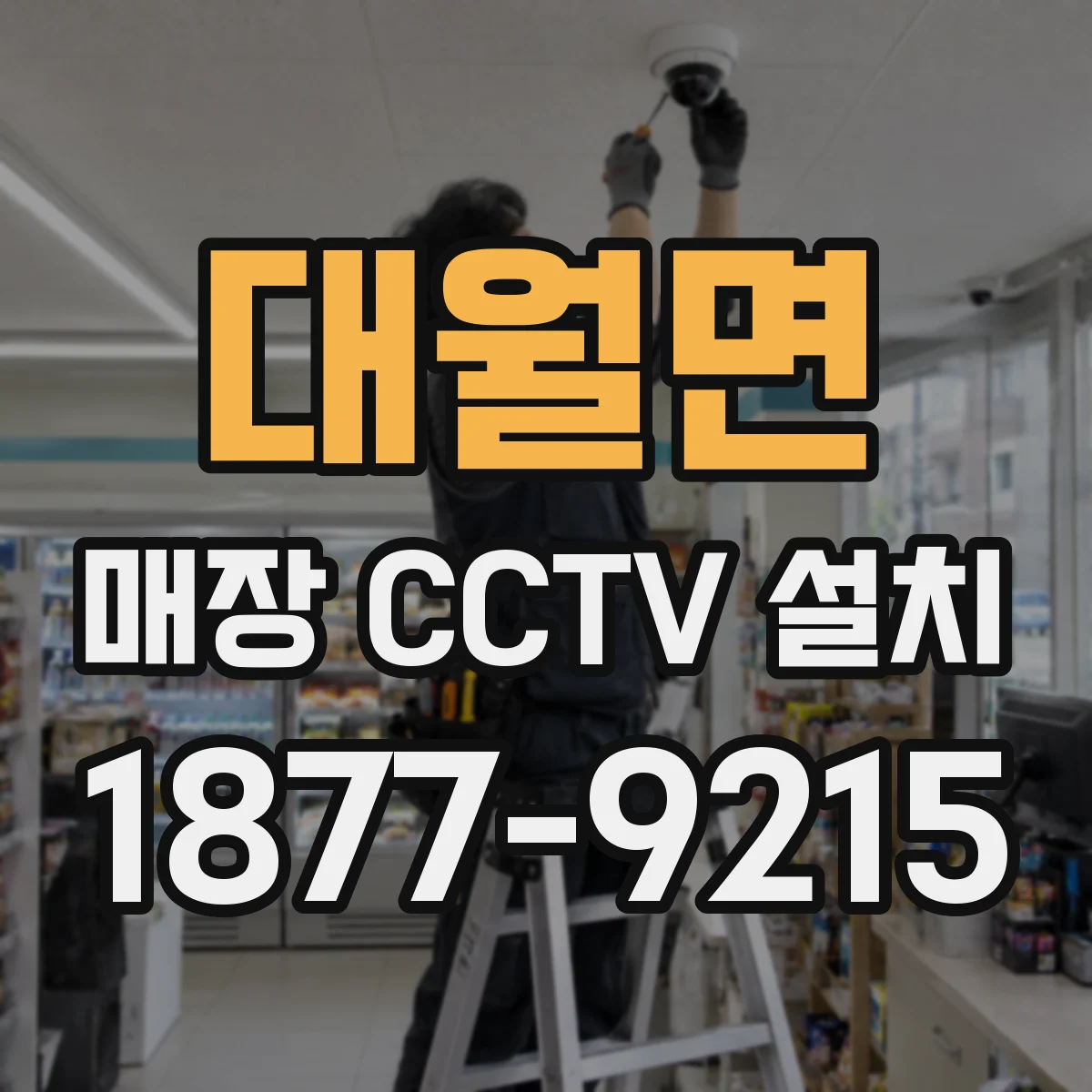 대월면 매장 CCTV 설치