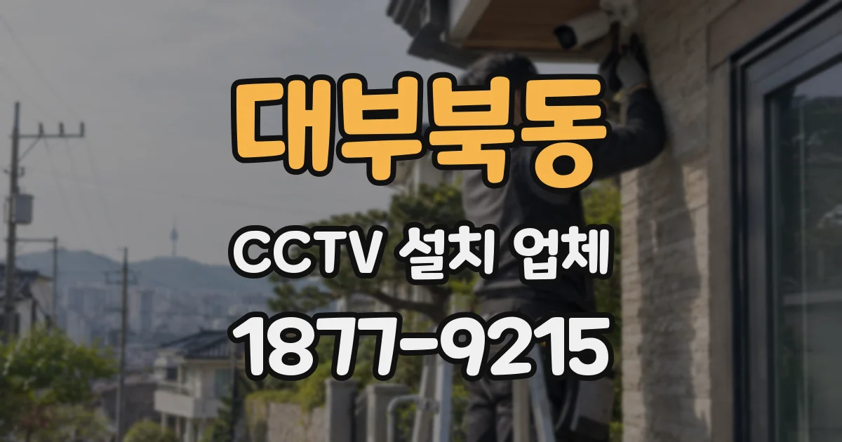 대부북동 CCTV 설치 업체