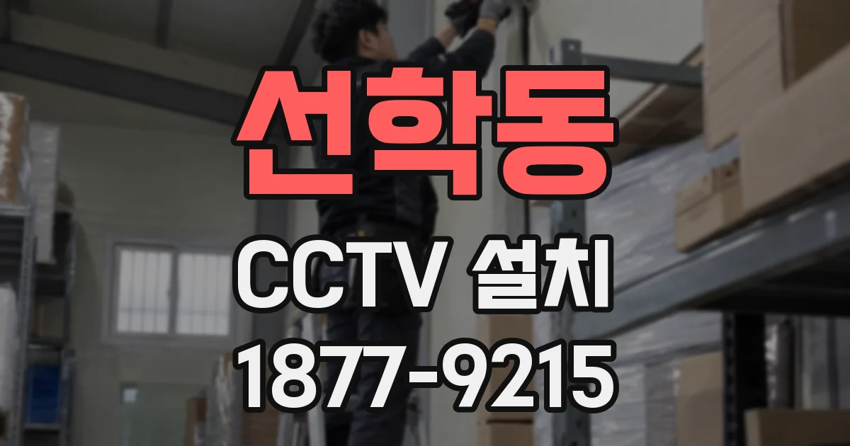 선학동 CCTV 설치