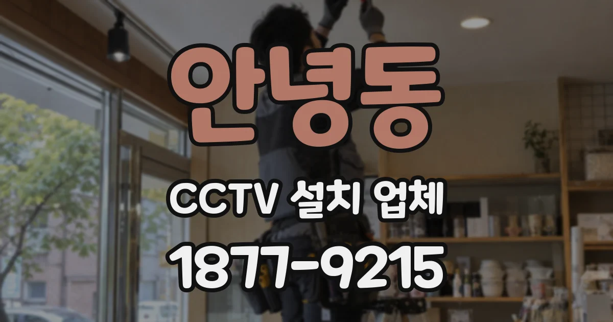 안녕동 CCTV 설치 업체