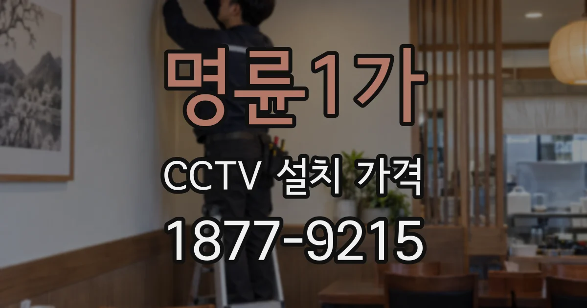 명륜1가 CCTV 설치 가격