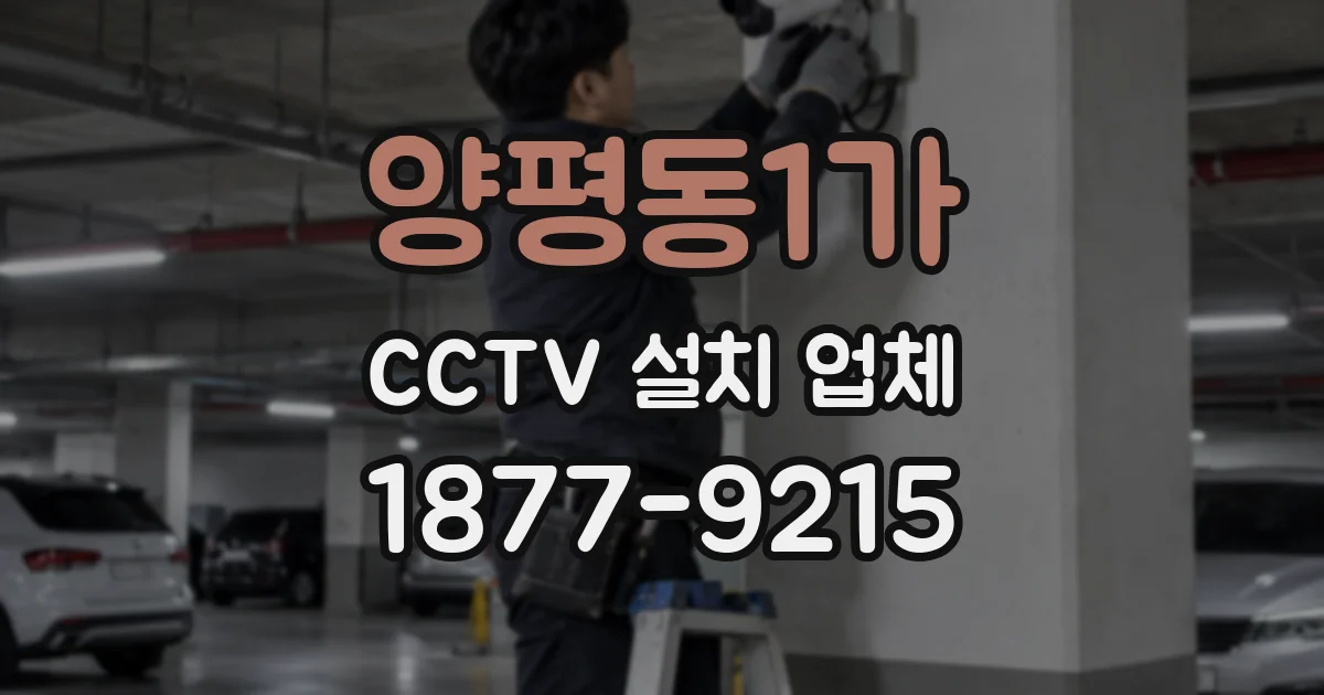 양평동1가 CCTV 설치 업체